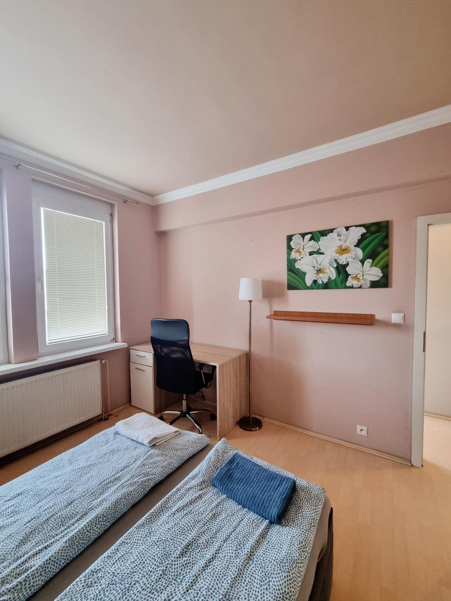 Big 4 Room Huge Apartment 布拉迪斯拉发 外观 照片