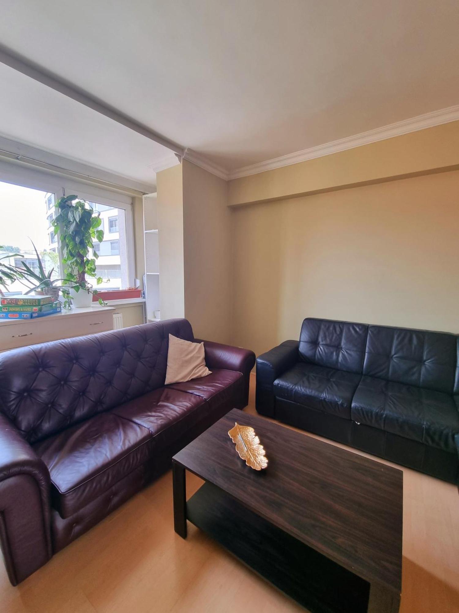 Big 4 Room Huge Apartment 布拉迪斯拉发 外观 照片